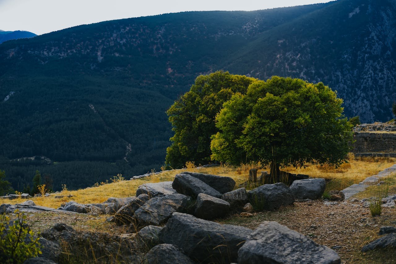 Read more about the article Ένταξη ορειβατικών διαδρομών του όρους Αρακύνθου στο ΕΤΠΑ