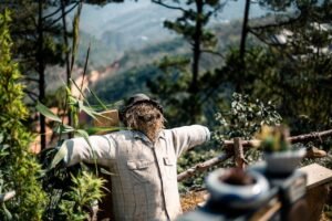 Read more about the article To 2015-2019 η Ελλάδα “έχασε” επιστήμονες, τώρα κινδυνεύει να “χάσει” τους αγροκτηνοτρόφους