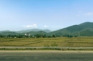 Read more about the article Ανδριανός: Δεν καλύπτεται από ΕΛΓΑ η υποβάθμιση ποιότητας ρυζιού λόγω βροχών