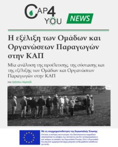 Read more about the article Ομάδες και Οργανώσεις Παραγωγών