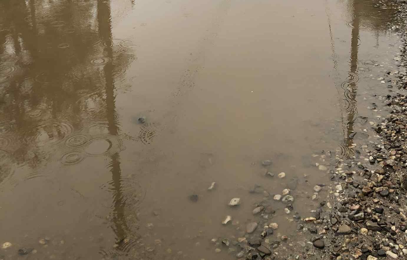 Read more about the article Επαναφορά πλημμυρισμένων χωραφιών με χρήση κοπριάς