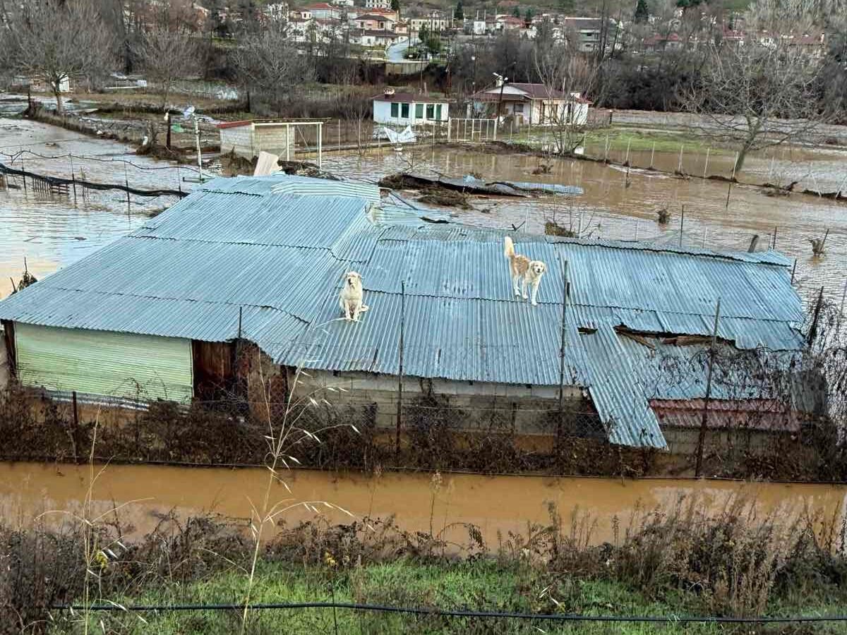 Read more about the article Καστοριά: Πρόσκληση για αίτηση κρατικής αρωγής