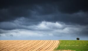 Read more about the article Τσιάρας στον ΣΚΑΪ: Το 87,2% των αγροτών δικαιούται ρεύμα στα 8,5 λεπτά