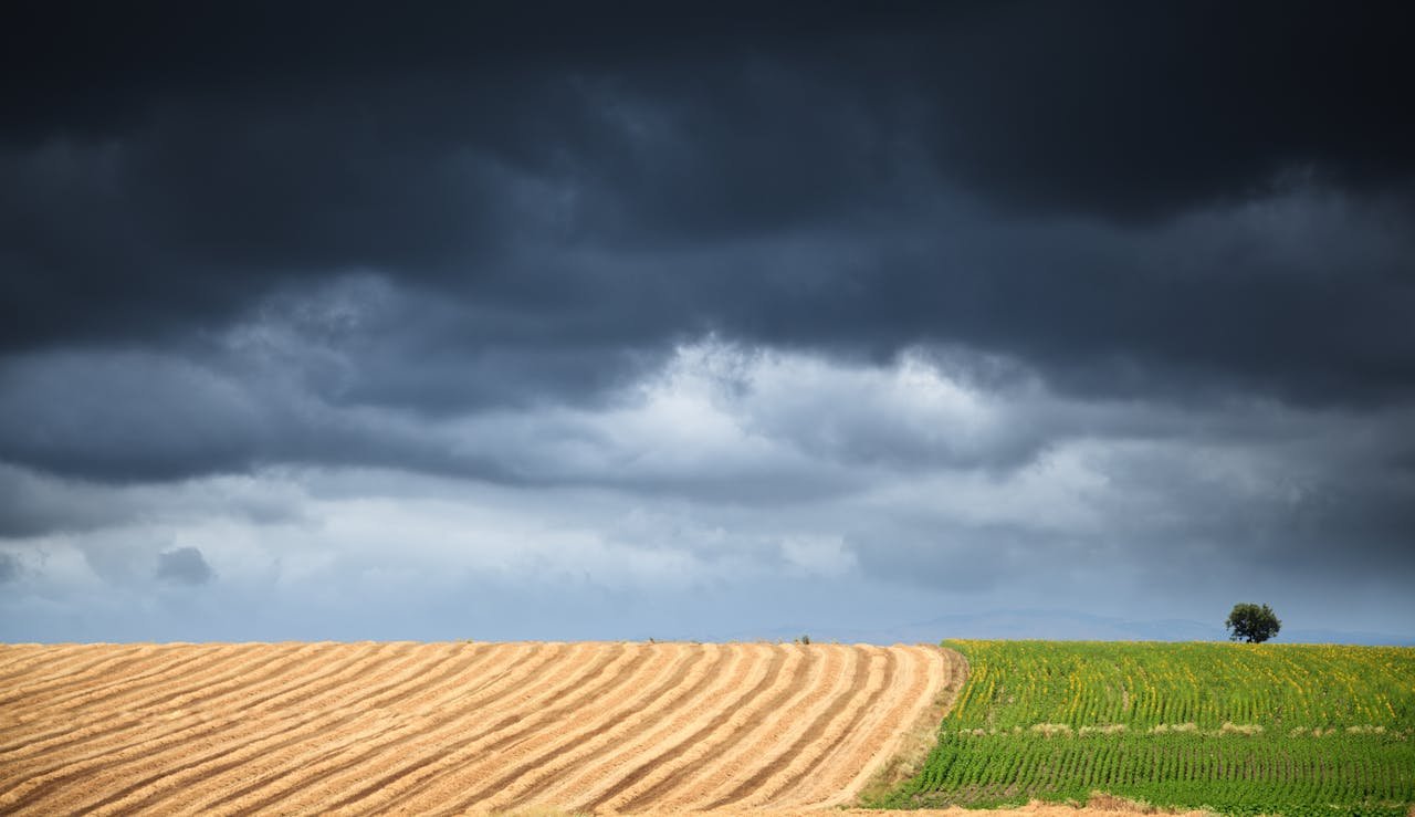 Read more about the article Τσιάρας στον ΣΚΑΪ: Το 87,2% των αγροτών δικαιούται ρεύμα στα 8,5 λεπτά