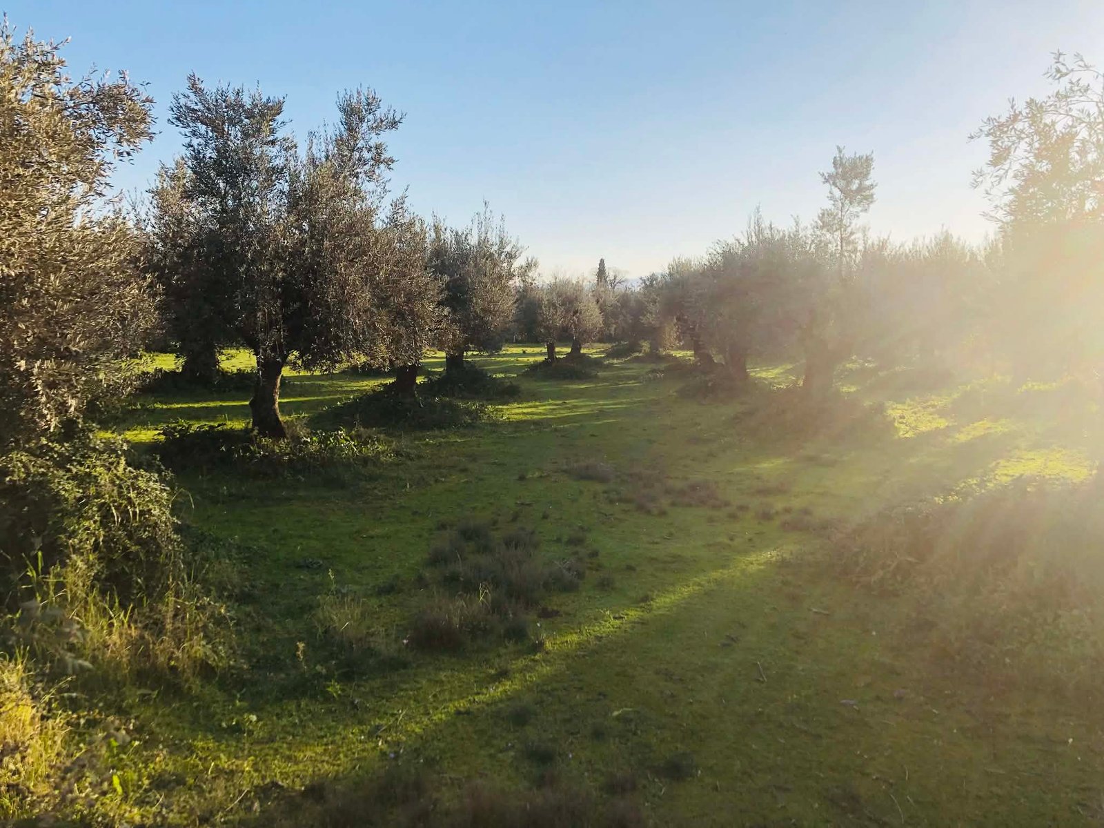 Read more about the article Η Περιφέρεια Κεντρικής Μακεδονίας για τα σχέδια βελτίωσης