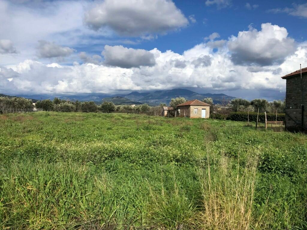 Όλες οι εξελίξεις για πρόγραμμα νεών γεωργών, θερμοκήπια, ομάδες, μέτρο Συνεργασίας