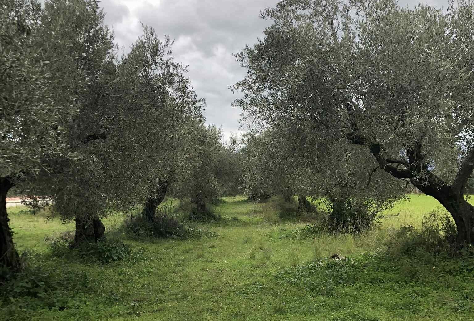 You are currently viewing Με Υπουργική Απόφαση πιστοποιημένοι επαγγελματίες στο ΟΣΔΕ