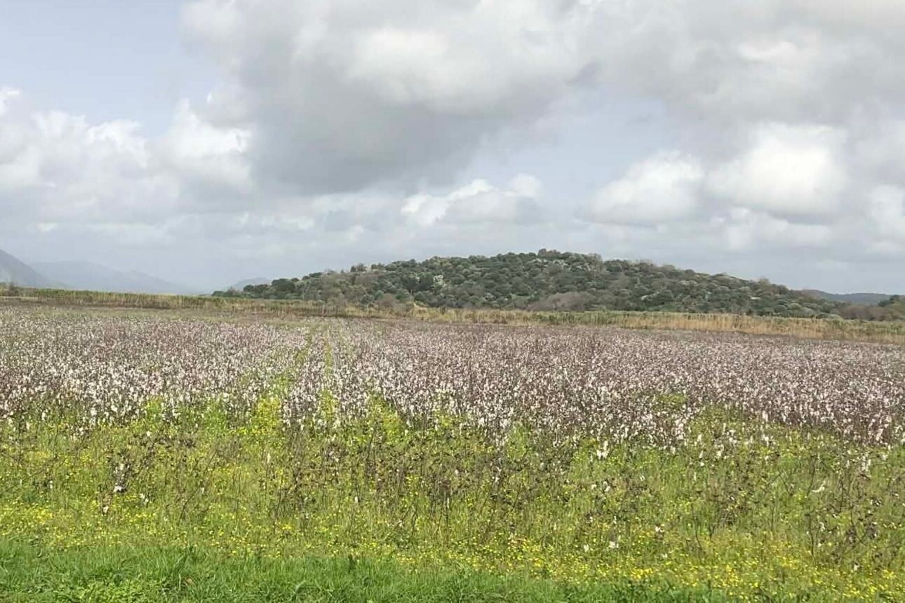 Read more about the article Μέτρο μείωσης αποτυπώματος άνθρακα: Βελτιώσεις για ένταξη εναλλασσόμενων χωραφιών, πότε βγαίνει προκήρυξη