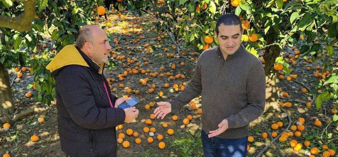 Read more about the article Καταστροφική η φετινή χρονιά για τους παραγωγούς εσπεριδοειδών