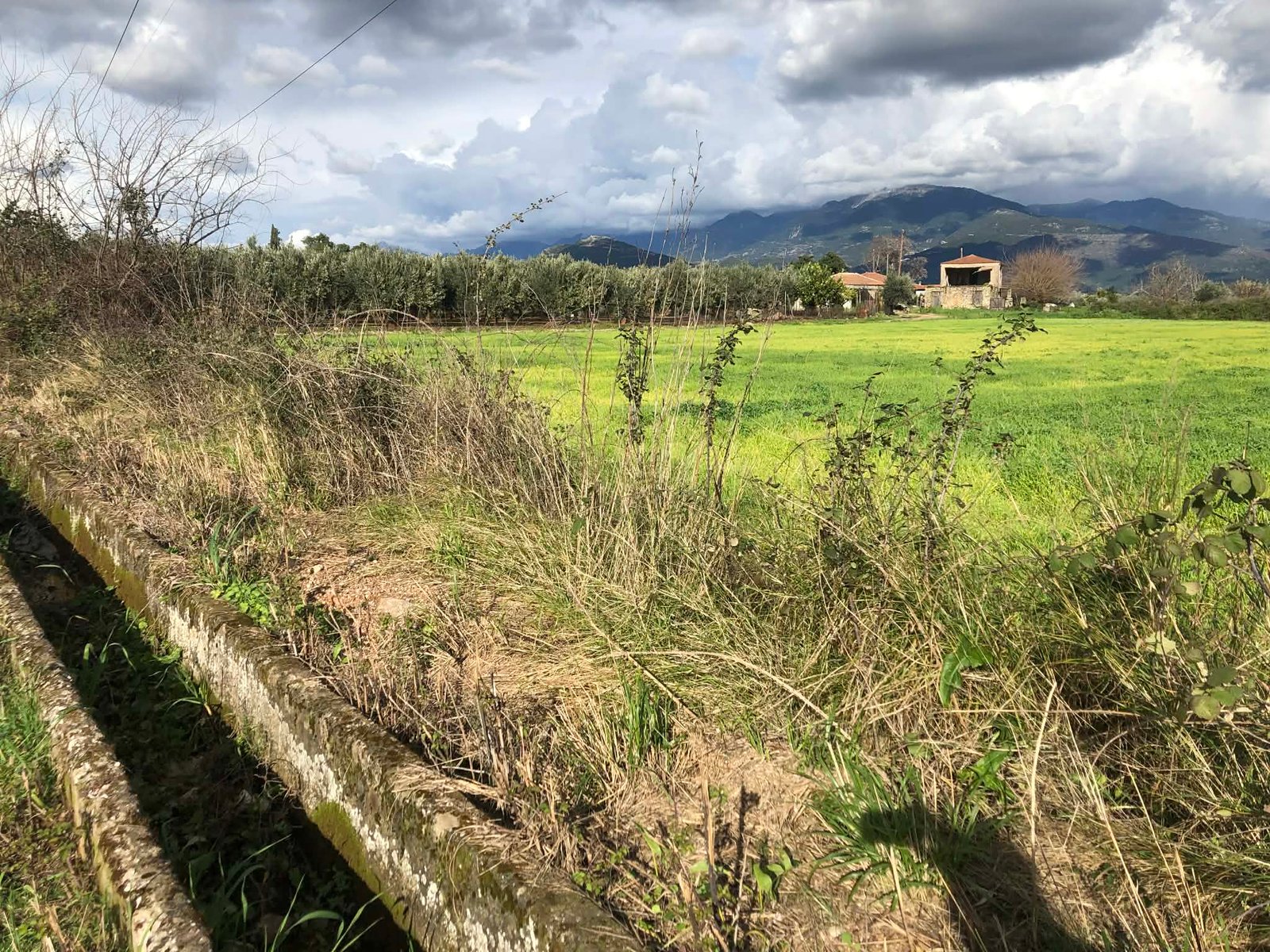 Read more about the article Εγκύκλιος για «Στήριξη για νέα συμμετοχή σε εθνικά συστήματα ποιότητας»