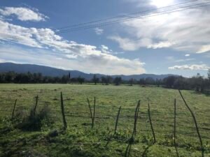 Read more about the article ΠΑΣΟΚ: Ορατός ο κίνδυνος απώλειας κρίσιμων ενισχύσεων