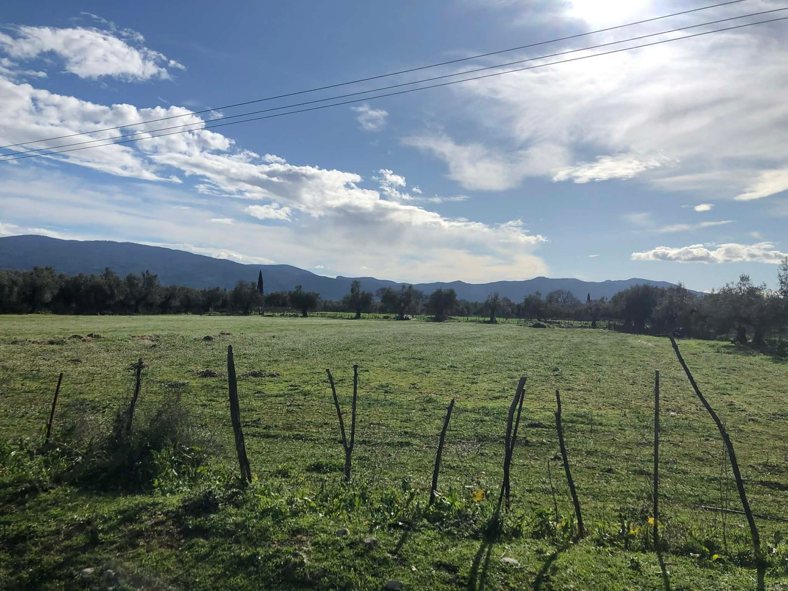 Read more about the article ΠΑΣΟΚ: Ορατός ο κίνδυνος απώλειας κρίσιμων ενισχύσεων