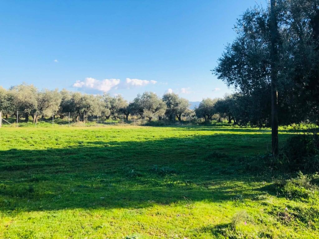 ΚΕΠΑ - Δήμος Ελευσίνας υπέγραψαν «Μνημόνιο Συνεργασίας»