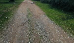 Read more about the article Πότε θα πρέπει να αναμένονται οι πληρωμές των οικολογικών σχημάτων