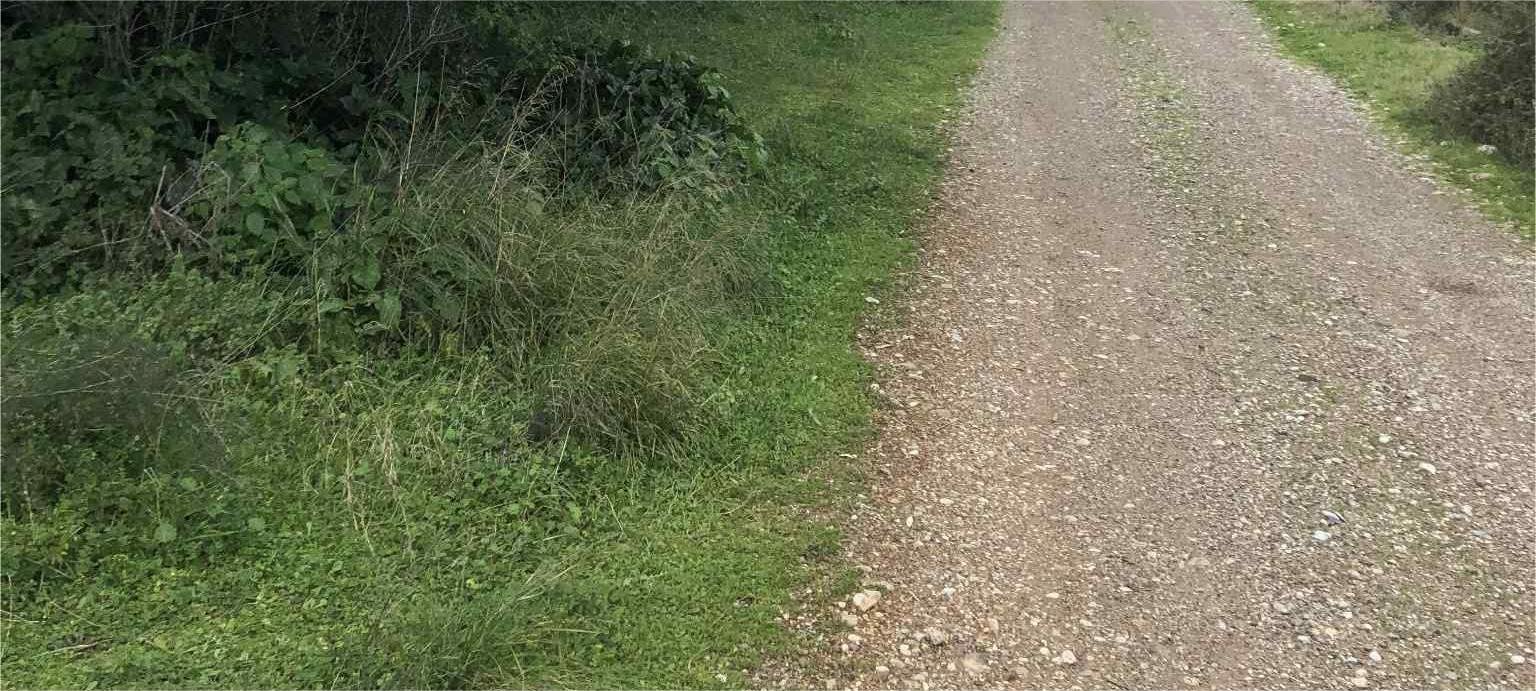 Read more about the article Δημιουργία, αναβάθμιση και ανάδειξη πεζοπορικών και περιπατητικών διαδρομών