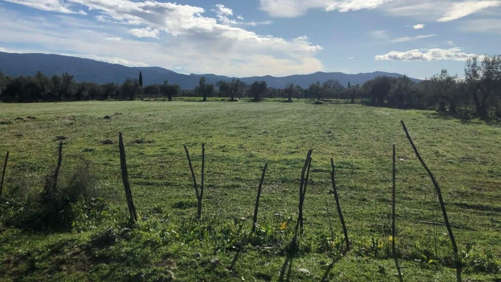 Όλες οι πληρωμές προς αγρότες και κτηνοτρόφους που έρχονται