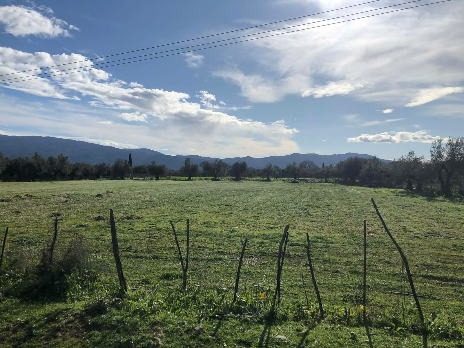 Read more about the article Στο ΦΕΚ η απόφαση διορθώσεων ΕΑΕ, ποιες πληρωμές ακολουθούν