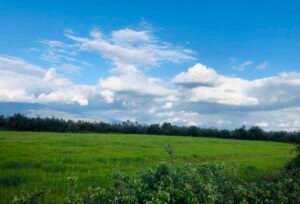 Read more about the article ΥπΑΑΤ: Πρόσκληση για “Δράσεις για την προστασία του περιβάλλοντος”