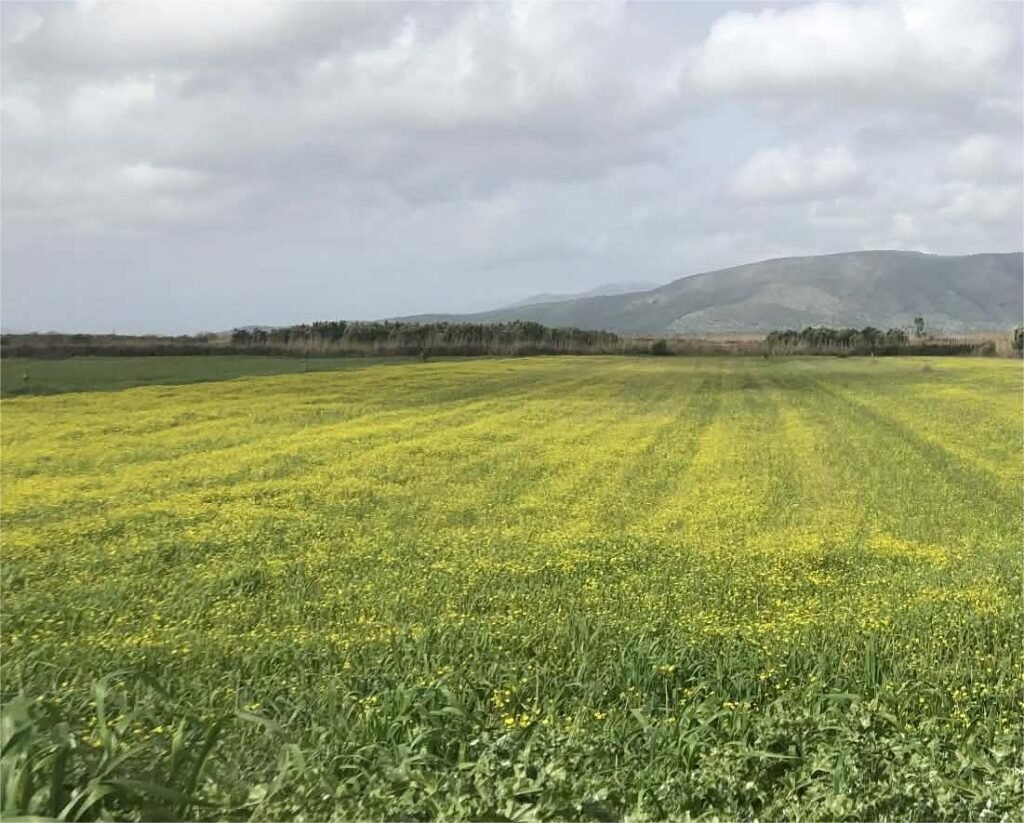 Αγνοούνται οι πληρωμές για τα οικολογικά σχήματα του 2024