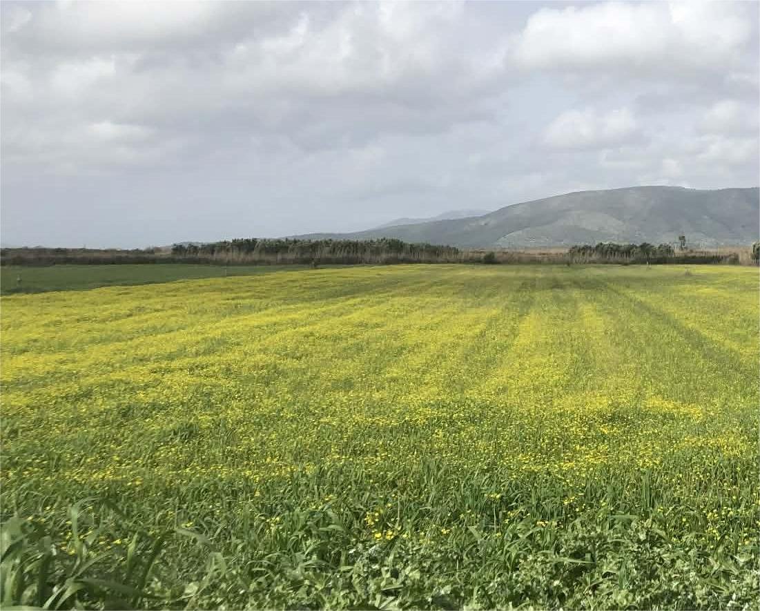 Read more about the article Πιθανότατα μέχρι 13/3 το άνοιγμα της ειδικής εφαρμογής στην πλατφόρμα myBusinessSupport