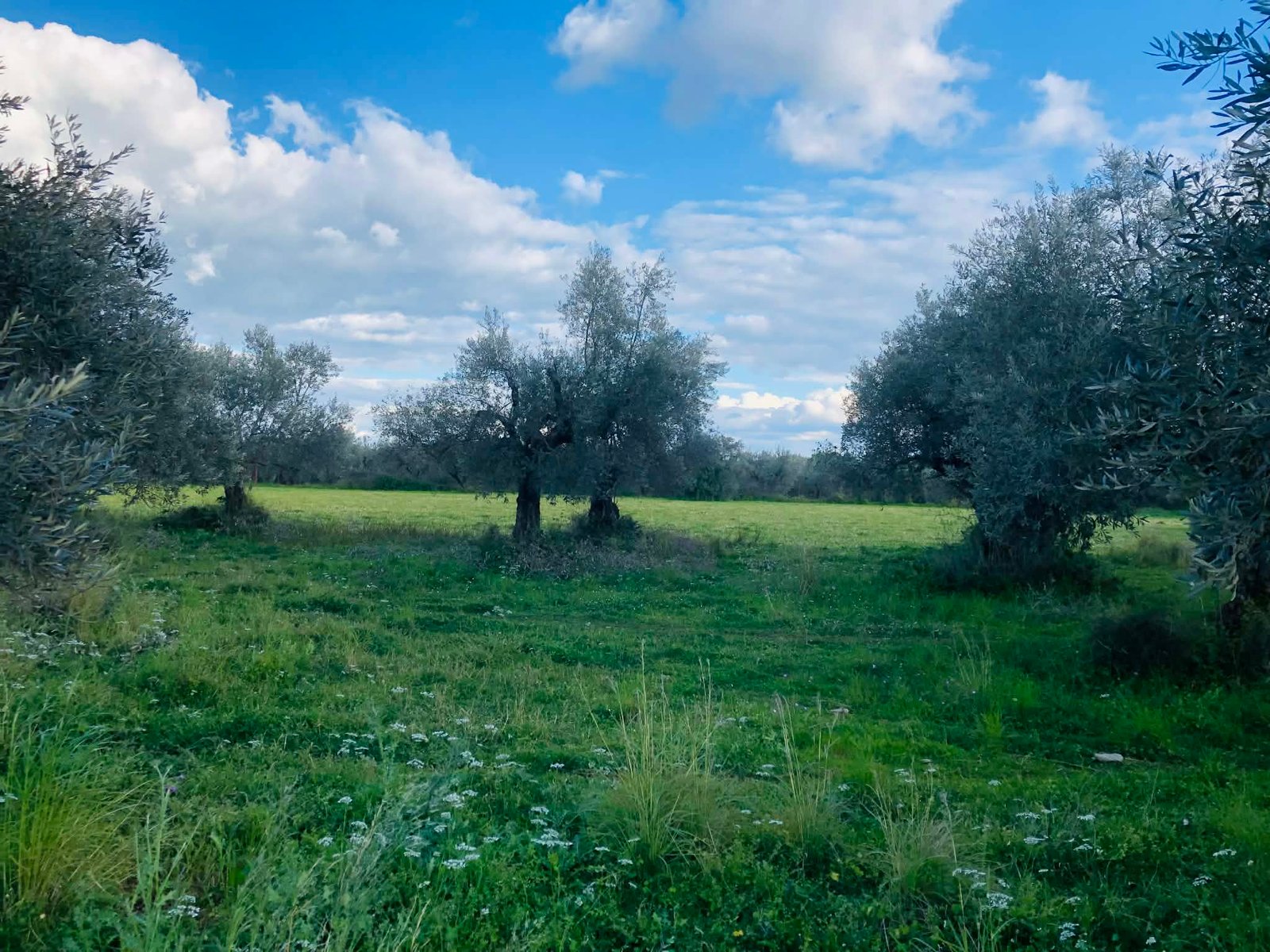 Read more about the article Β’ δόση νέων γεωργών: Ανοίγει σύντομα το πληροφοριακό σύστημα για αιτήσεις