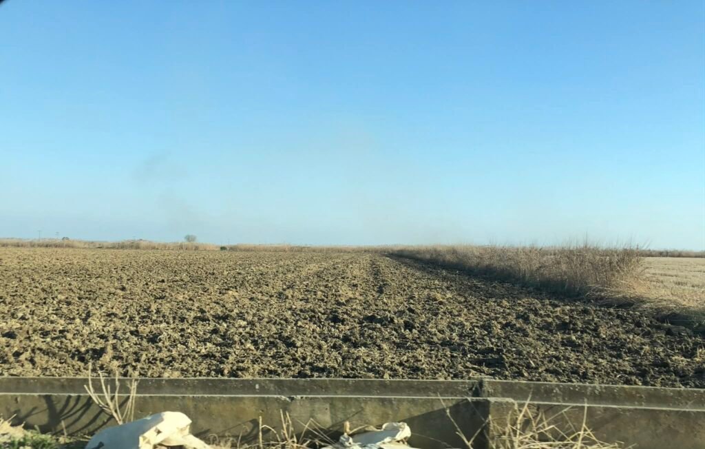 Πληρωμές αγροτών: Διορθώσεις έως τα τέλη Φεβρουαρίου δεν ενσωματώθηκαν στο σύστημα, λέει το ΠΑΣΟΚ