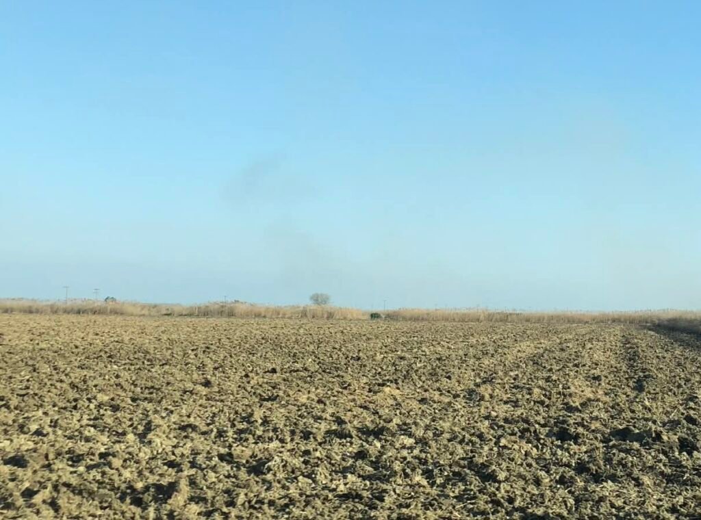 Δικογραφία σε βάρος 71χρονου για απάτη με πλαστά παραστατικά σπόρου σποράς