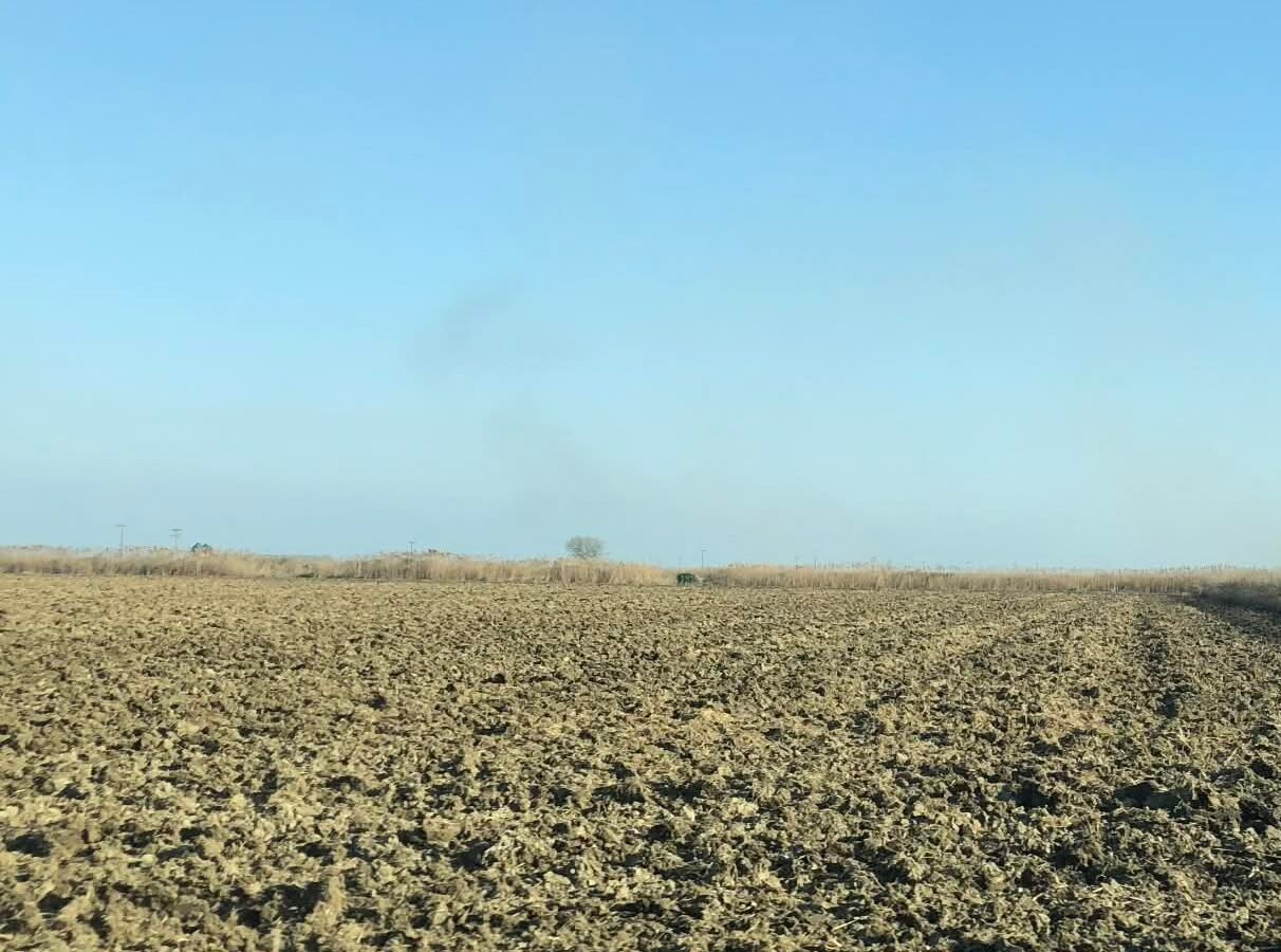 Read more about the article Δικογραφία σε βάρος 71χρονου για απάτη με πλαστά παραστατικά σπόρου σποράς