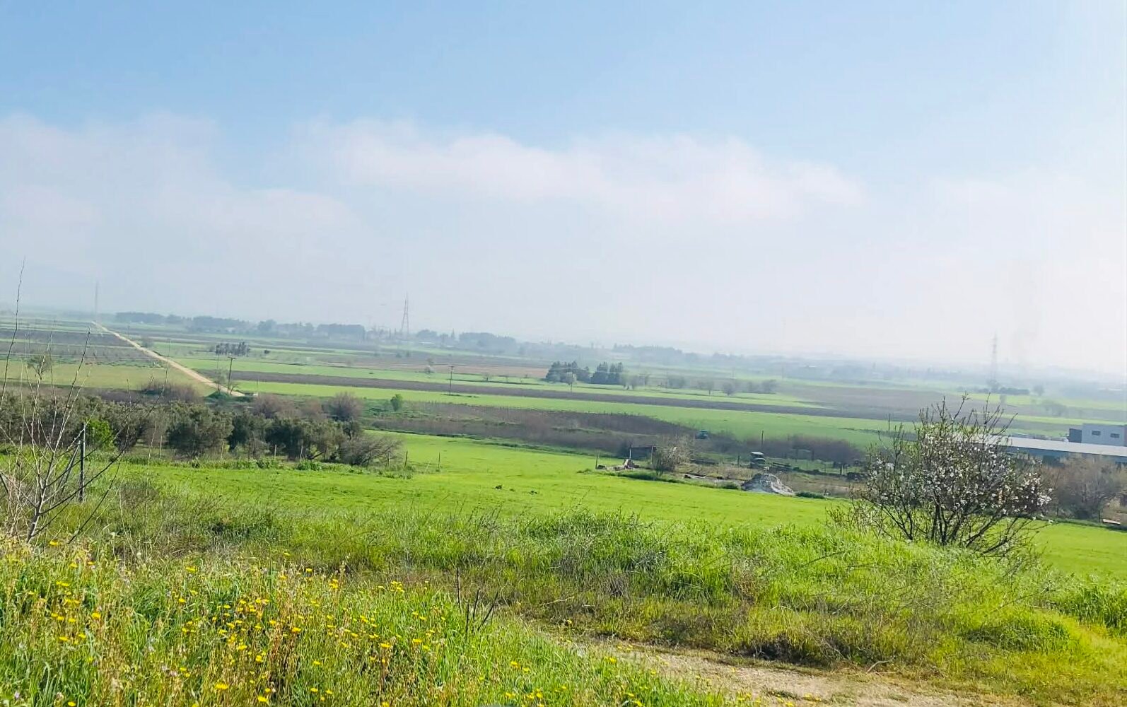 You are currently viewing Παράπονα από παραγωγούς που έμειναν εκτός της μεγάλης πληρωμής