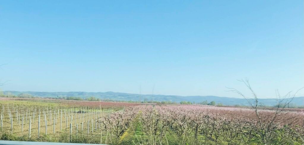 Απόφαση καθορισμού συνεχιζόμενης πράξης της δράσης 5.1.1