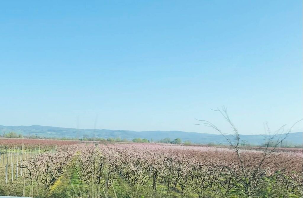 Ο Ανδριανός στη βουλή για τις αποζημιώσεις βροχόπτωσης στα δέντρα