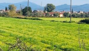 Read more about the article Κατ’ εξαίρεση χορήγηση ασφαλιστικής ικανότητας για το έτος 2026-2027