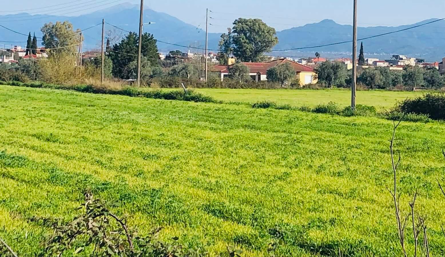 Read more about the article Η στήριξη των τελευταίων μικρών καφενείων και παντοπωλείων στα ορεινά χωριά επιτρέπεται