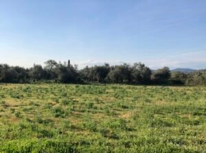 Read more about the article Ολοταχώς για νέα πληρωμή επιστροφής ΕΦΚ πετρελαίου αγροτών
