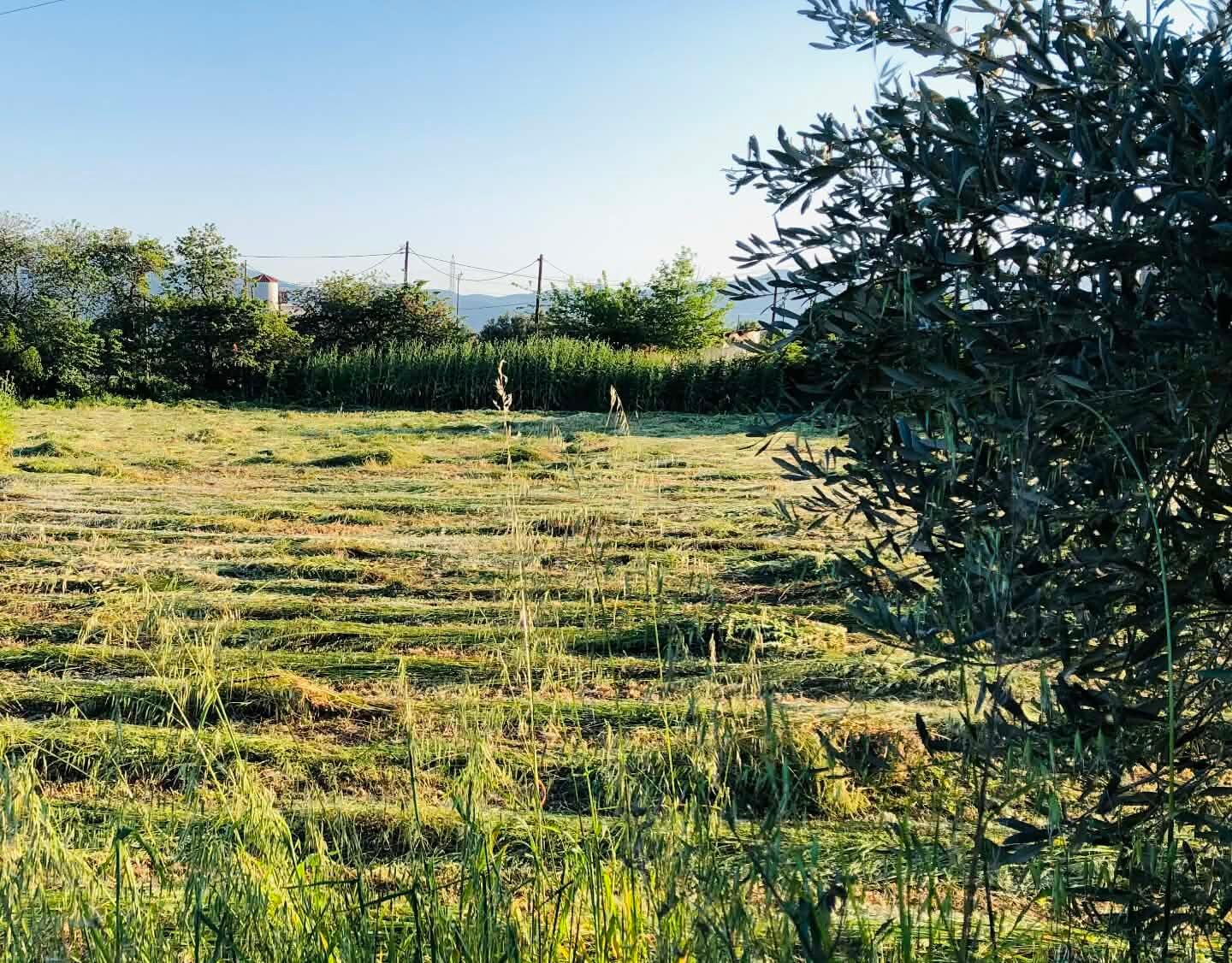 Read more about the article Στο Λουξεμβούργο ο Σχοινάς για την ΚΑΠ