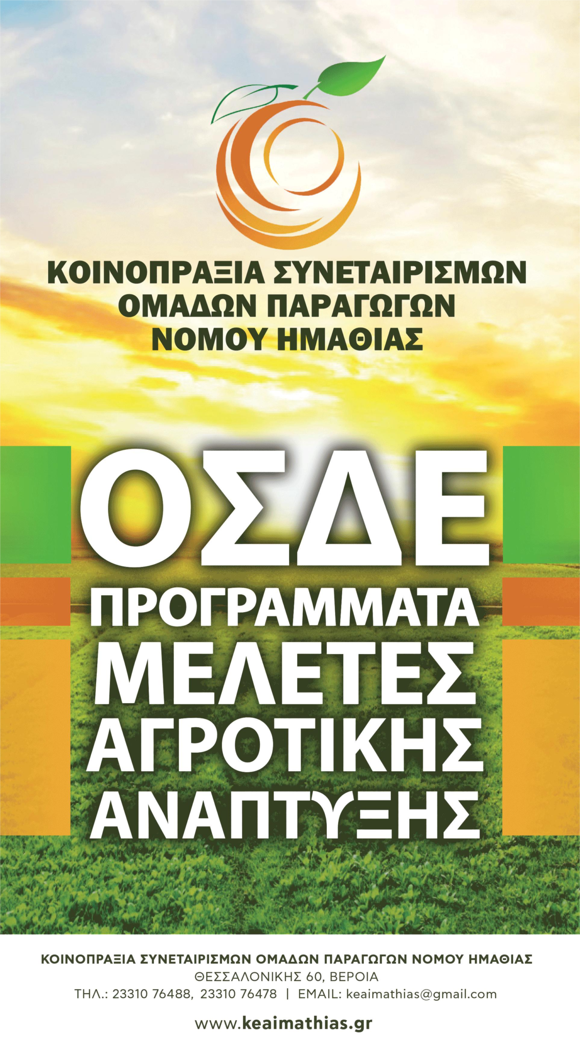 koinopraxia