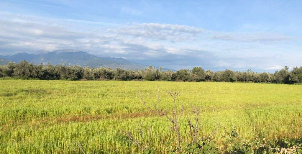 Όλα όσα πρέπει να ξέρουν οι παραγωγοί για εύλογο κόστος, βαθμολογία στα σχέδια βελτίωσης