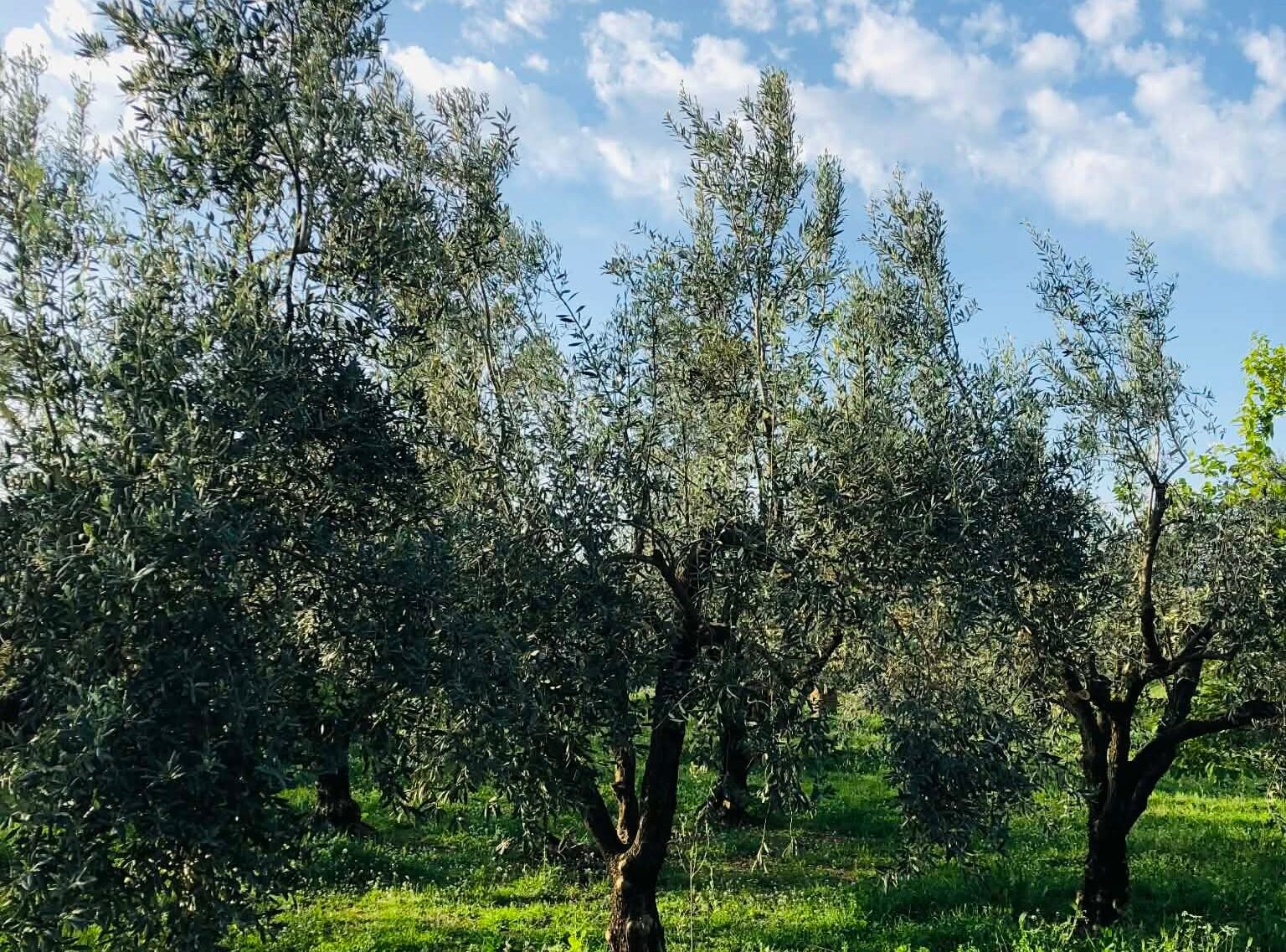 Read more about the article Τι ισχύει για drones, ΟΣΔΕ, εξοικονόμηση ύδατος στα σχέδια βελτίωσης