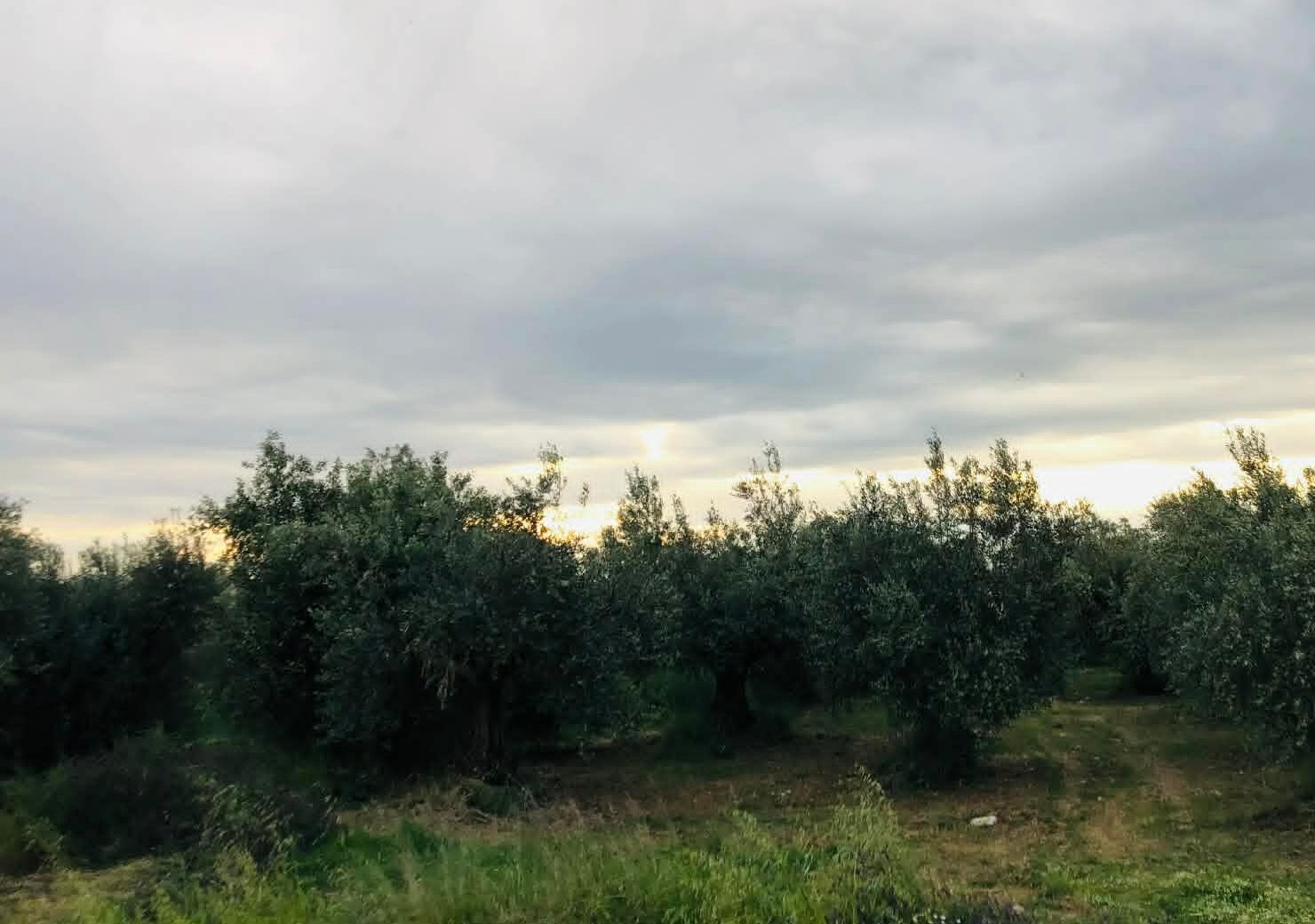 Read more about the article Συνάντηση για τις καθυστερήσεις πληρωμών και τα προγράμματα στην Κρήτη