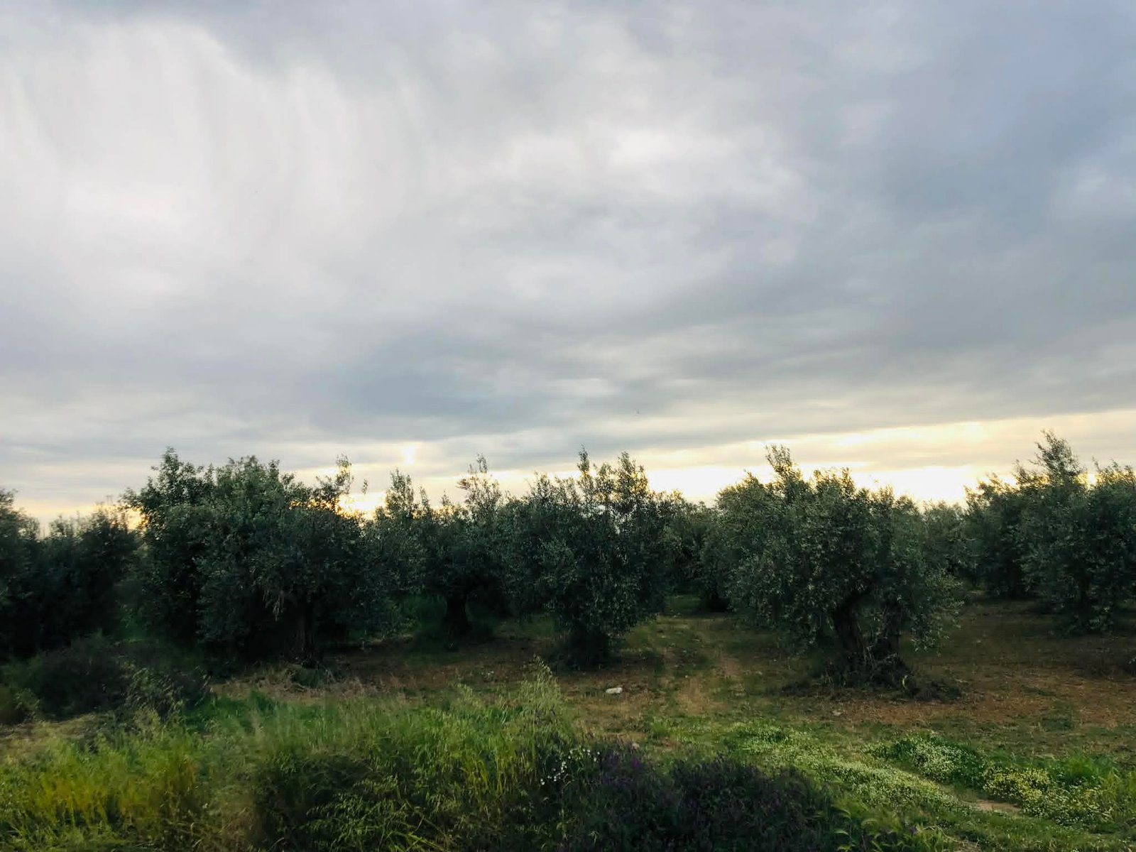 Read more about the article Απαλλοτριώσεις εκτάσεων, απαραίτητες για την υλοποίηση αρδευτικών