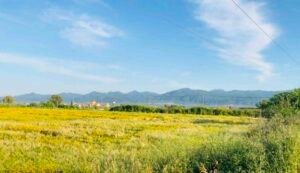 Read more about the article Πλασματικά έτη και σύνταξη: Πότε δεν απαιτούνται 3.600 ημέρες ασφάλισης