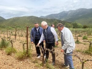 Read more about the article Αυτοψία Ανδριανού στις παγετόπληκτες περιοχές Κορινθίας, Αργολίδας, Αρκαδίας