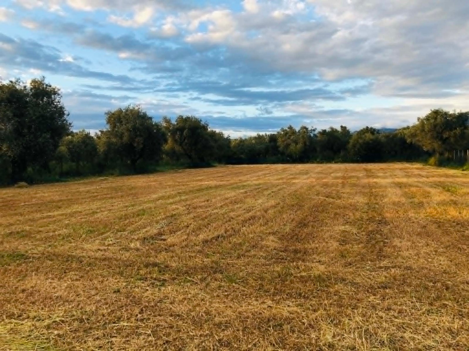 Read more about the article Άνοιξε εκ νέου το σύστημα ΕΑΕ 2025 για διορθώσεις και υποβολή δικαιολογητικών