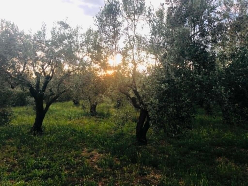 Το "πράσινο φως" από ΕΕ για να ξεμπλοκάρουν τα ΟΕΦ περιμένουν στο ΥπΑΑΤ