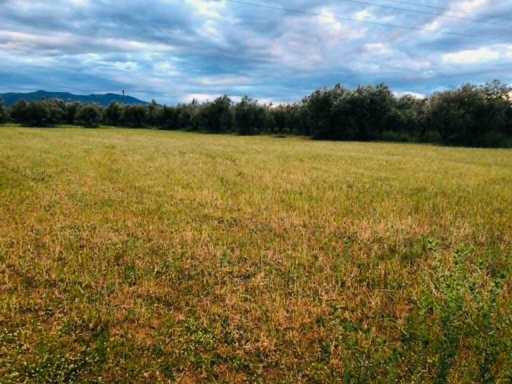 Η Κομισιόν αποδέχεται την πρόταση για δημιουργία στρατηγικών αποθεμάτων για τα λιπάσματα