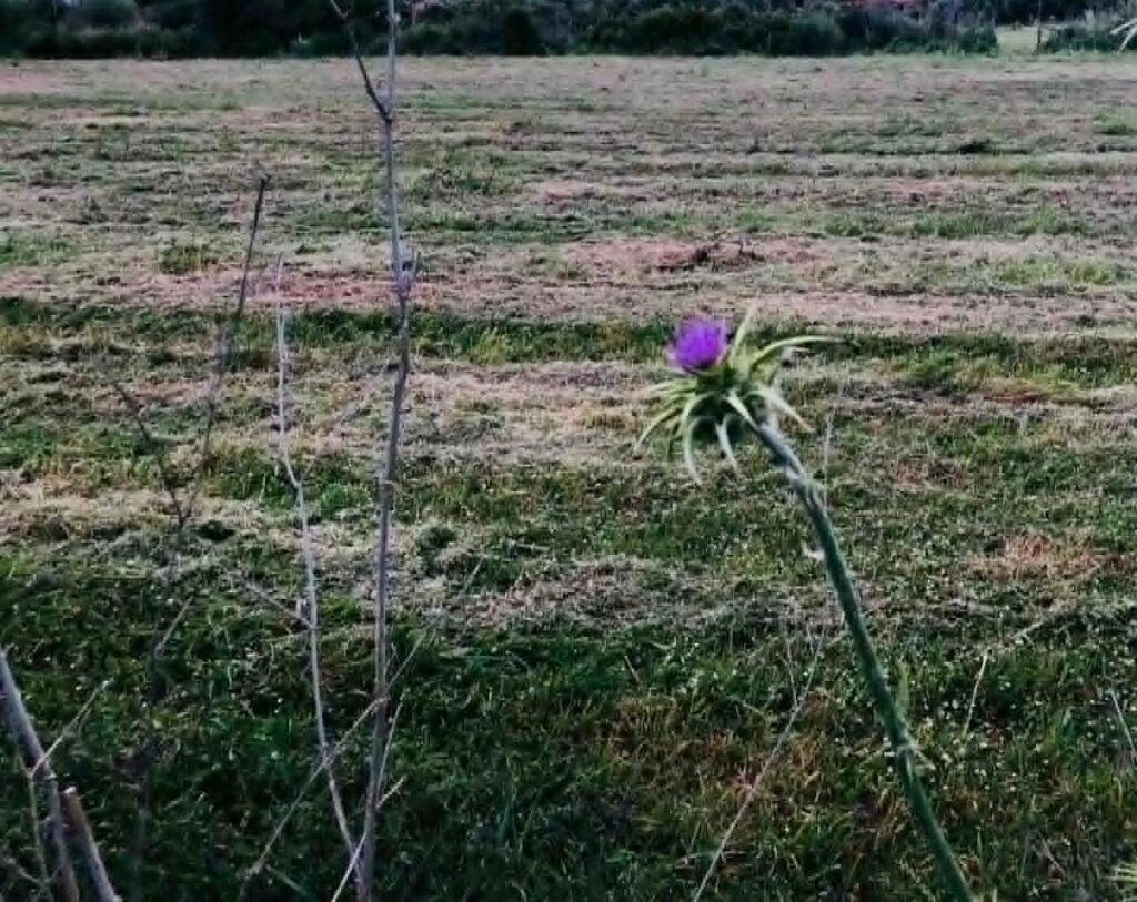 Νέο ΦΕΚ: Τι αλλάζει για τους αγρότες του ειδικού καθεστώτος ΦΠΑ με το Μέτρο 23