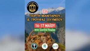 Read more about the article Στη Σκοτίνα η «1η Γιορτή Μανιταριού & Τρούφας Ολύμπου» στις 16-17 Μαΐου 2026