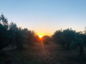 Read more about the article Η χρηματοδότηση για νέες τεχνολογίες, το πρόγραμμα νέων και τα σχέδια βελτίωσης