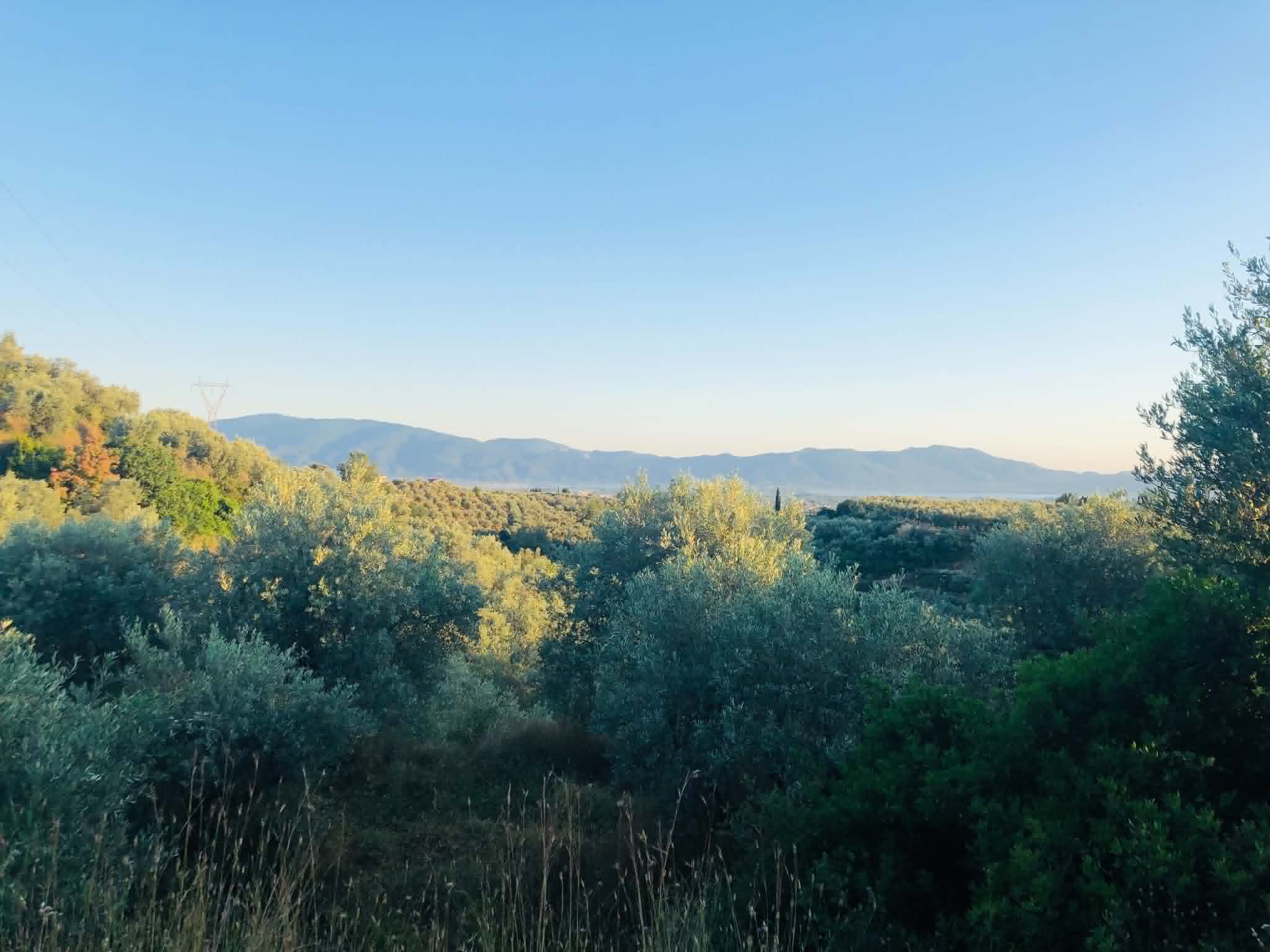 Read more about the article Γενική συνέλευση για τα κρίσιμα ζητήματα του πρωτογενούς τομέα στο Ρέθυμνο