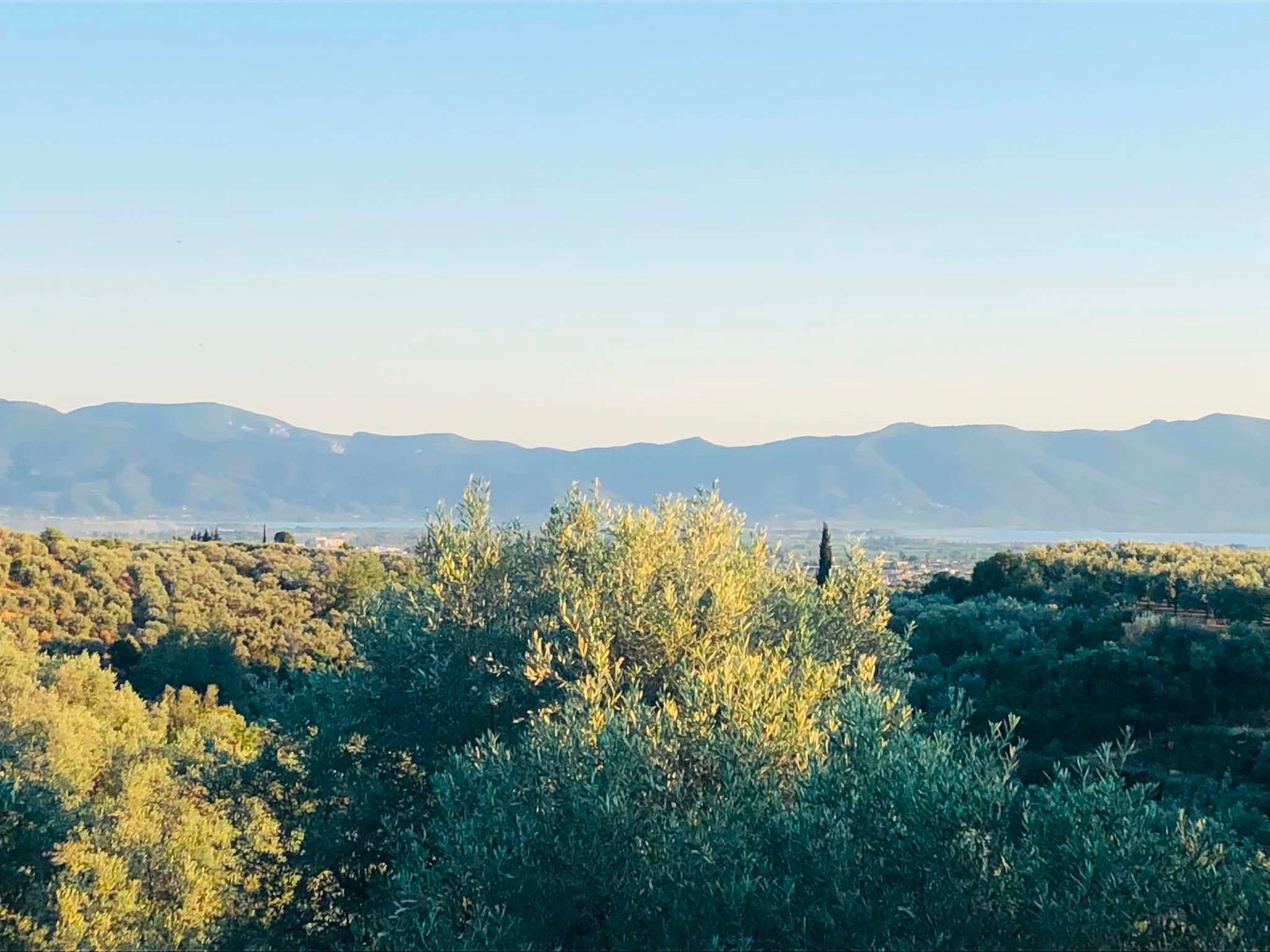 Read more about the article Νέοι αγρότες σε… δεινή οικονομική κατάσταση